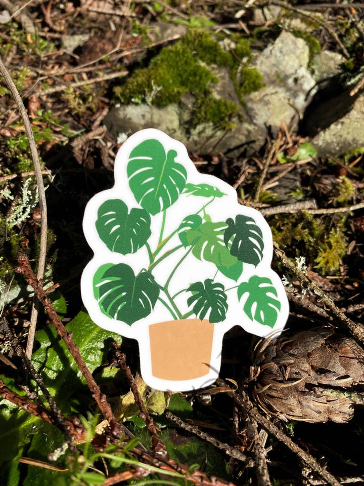 Monstera Houseplant Illustration Sticker | 3" x 2.5" for wholesale by Fern In The Forest