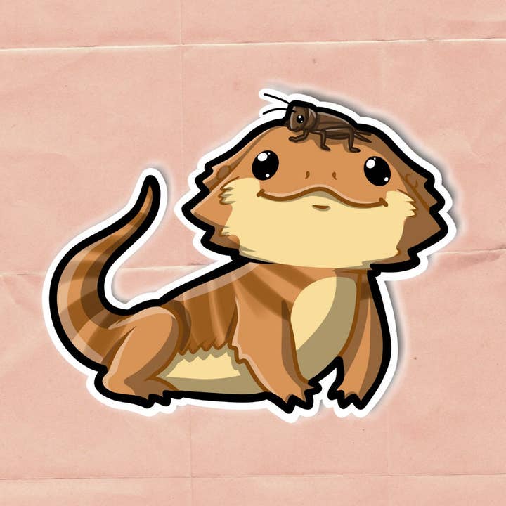 Grillo dragón barbudo en la cabeza para venta al por mayor de Mega Kawaii Cuties