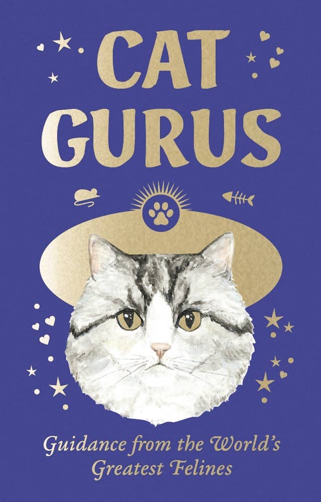 Chronicle Books - Wholesale Tarot Cards - Cat Gurus (Mini Deck)0