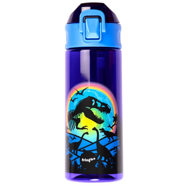 Flip Top Water Bottle 600ml - Dinosaur Moon for wholesale by Fringoo Group Ltd