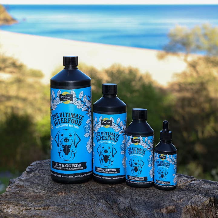 Proflax Calm & Collected suplemento natural para tranquilidad y concentración para venta al por mayor de Proflax Superfood Supplements