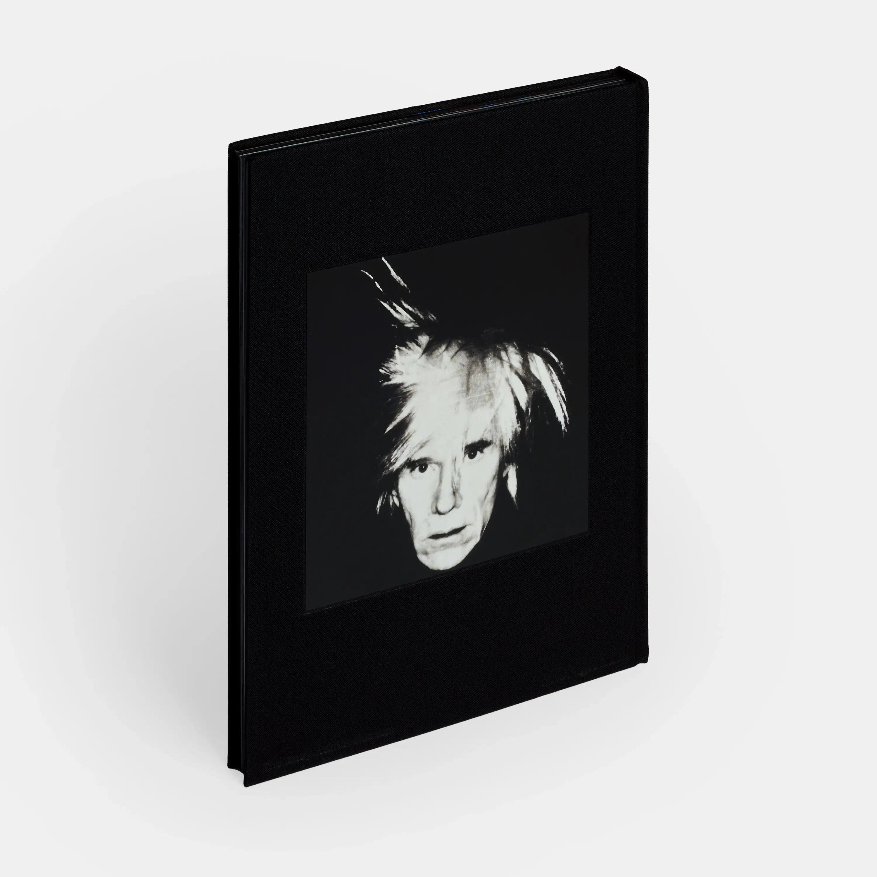 Phaidon Press – wholesale Display book – KAWS + Warhol5