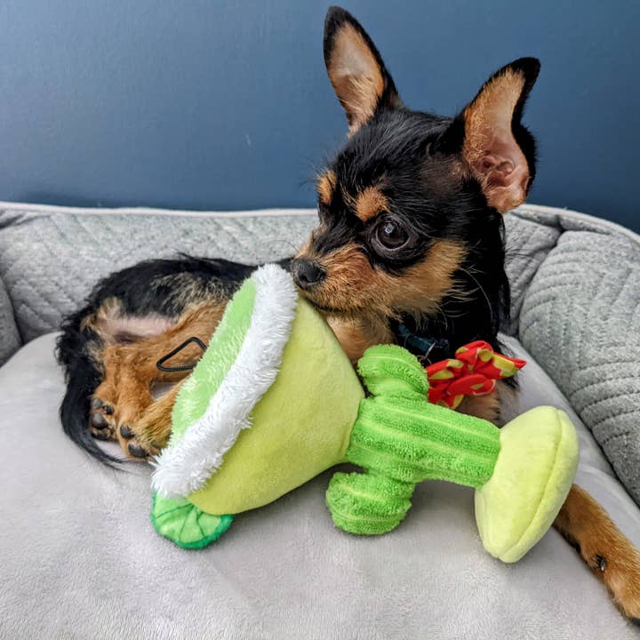 Huxley & Kent - Wholesale Pet Plush Toy - Dog - Margarita Loco Dog Toy