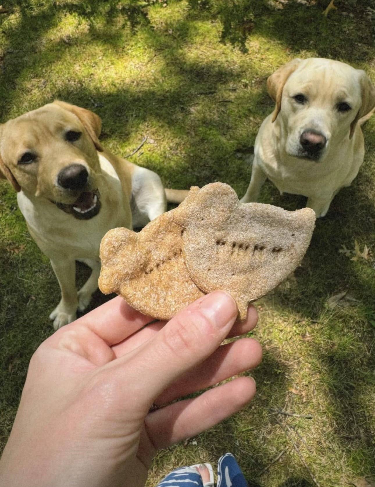 Vinny's Munch & Play - Wholesale Pet Biscuit - Dog - Chicken Dog Biscuit  1