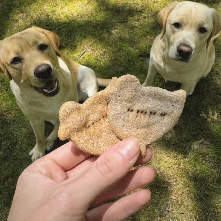 Vinny's Munch & Play - Wholesale Pet Biscuit - Dog - Chicken Dog Biscuit  1