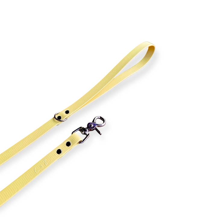 Correia fixa waterproof YORK Pineapple–Couro vegano Biothane® por atacado de L&Z Dogwear