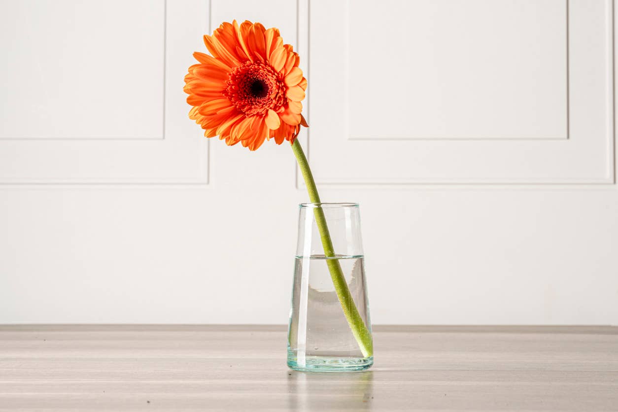 Verve Culture – wholesale Champagne flute – Moroccan Cone Champagne Glasses1