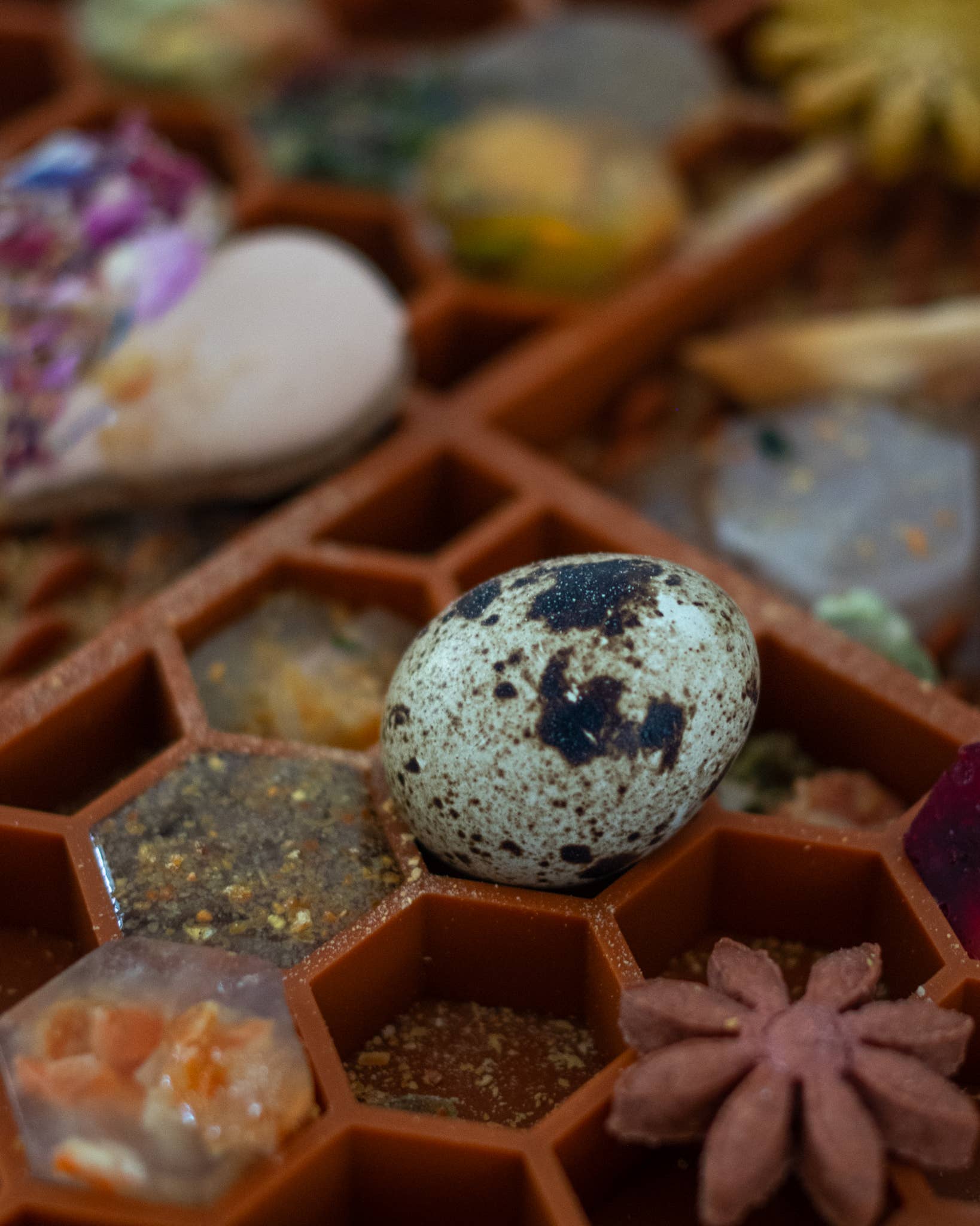 LIEVICK - Wholesale Pet Food Mat - Dog - Lick mat - Terracotta2