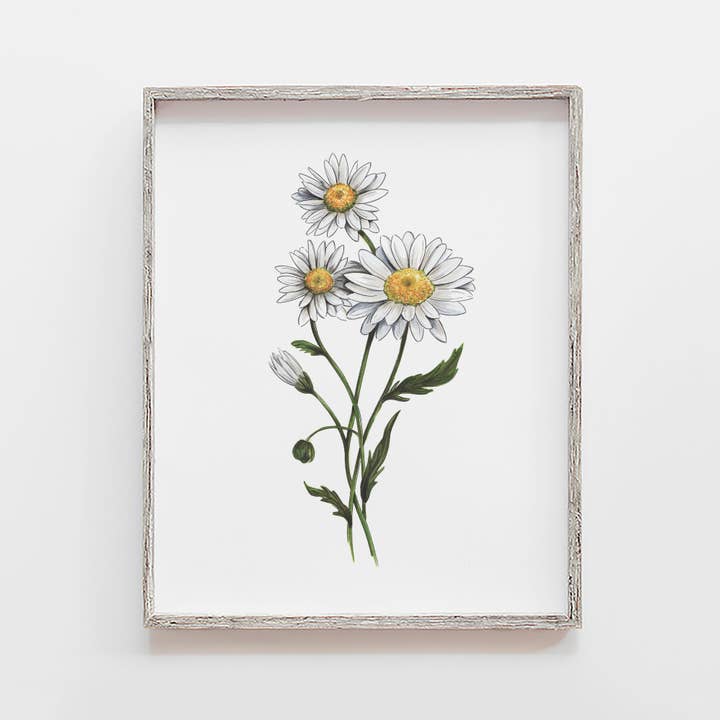 White Daisies Flower Art Print for wholesale by JesMarried