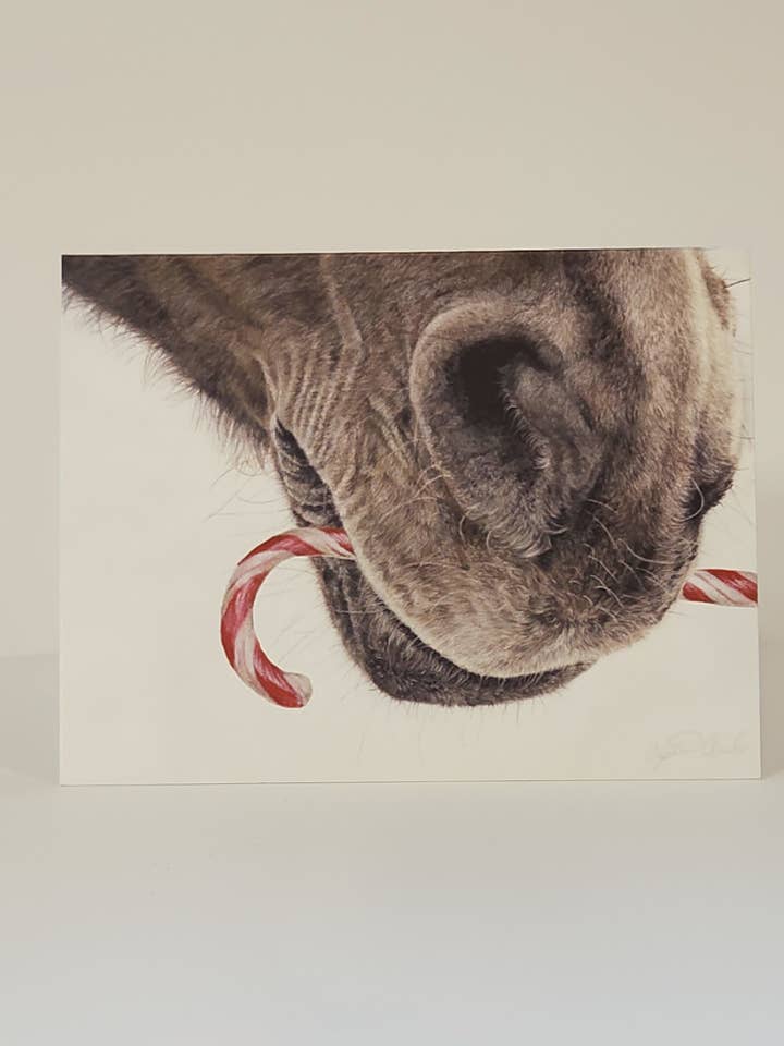 Holiday Greeting Card - Premium Horse Art Card for wholesale by Crystal Clarke Animal Art