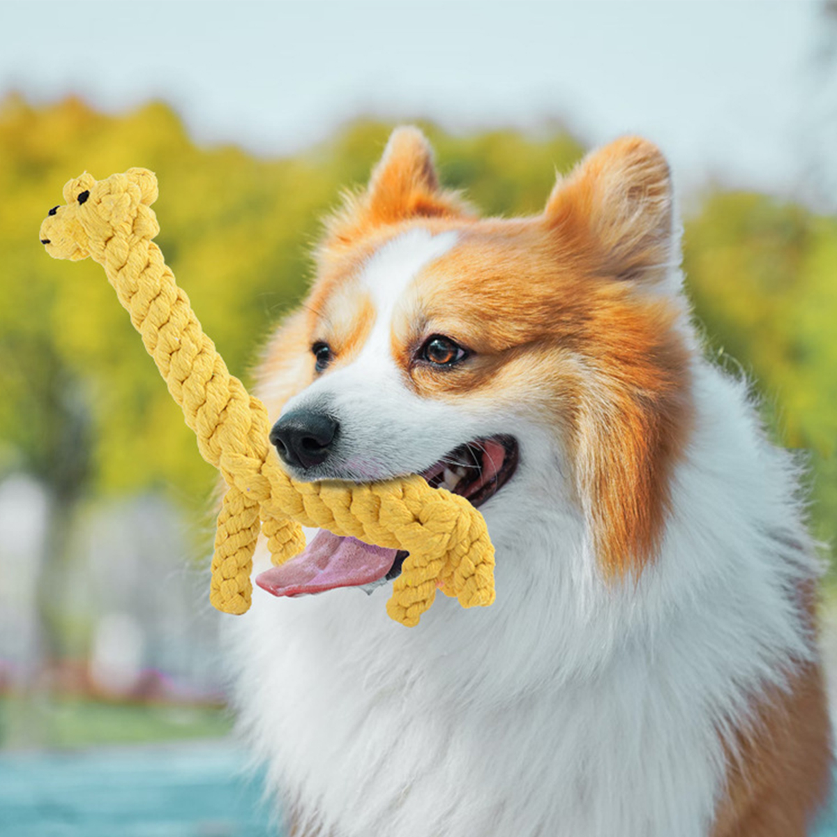 Yellow Giraffe Rope Dog Toy – Durable Chew Toy_CWMM8033 for wholesale on Faire4