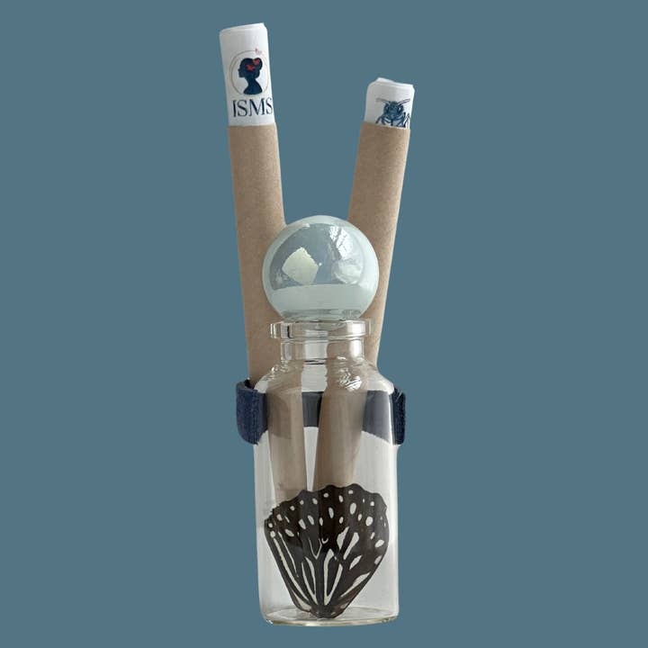 Isms - Wholesale Decorative Tabletop Object - Real Standard Butterfly Wing in Glass Bottle2