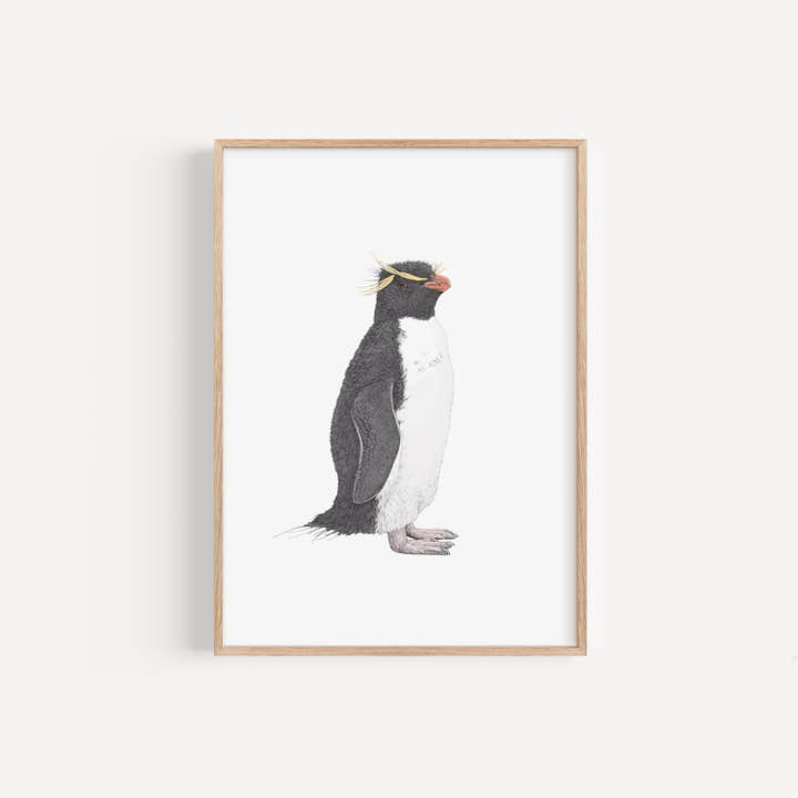Rockhopper Penguin Illustration Print for wholesale by Lauren Fitton Illustration