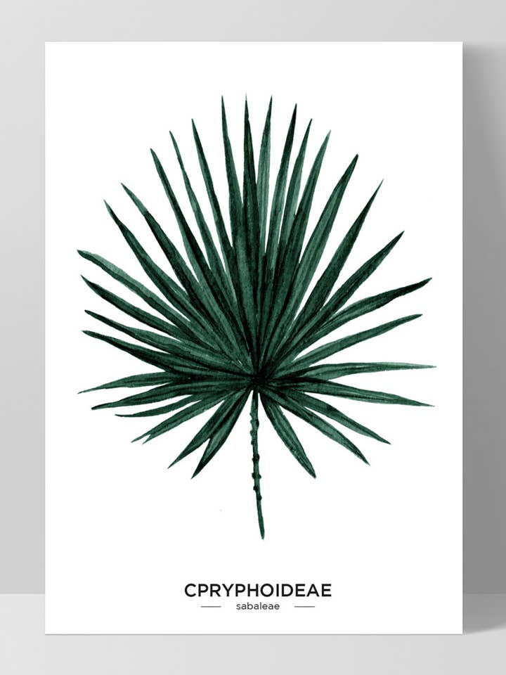 Palm Leaf Print. Watercolour Fan Palm. Simple Scandi Art for wholesale by PRINT AND PROPER