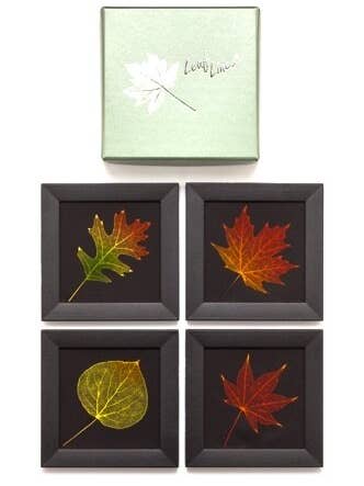 Coasters Black for wholesale by Leaf Lines