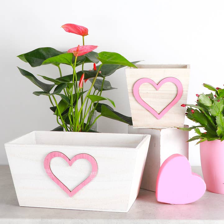 Heart Design White-Washed Wood Pot - Multiple Sizes for wholesale by Thorsen's Greenhouse