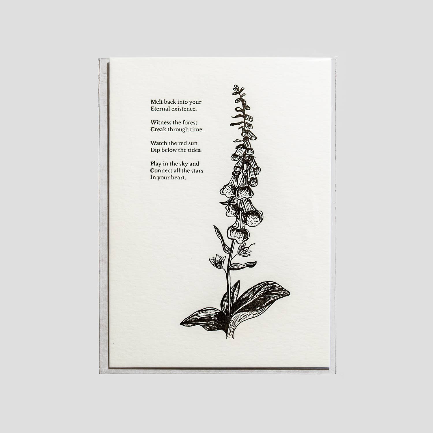 Velvetback - Wholesale Art Print - Foxglove 5" x 7" Botanical Letterpress Print
