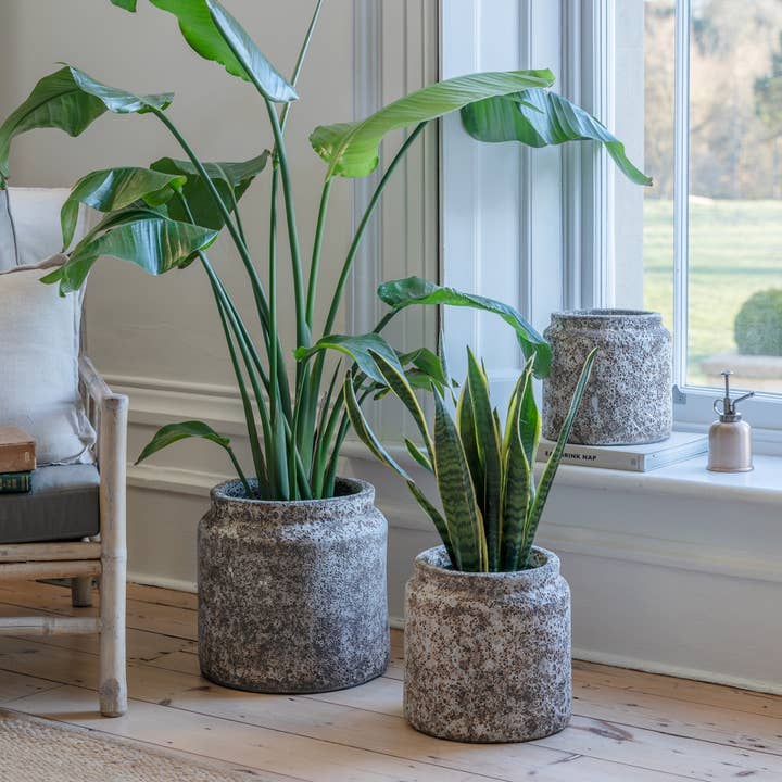 Ivyline - Wholesale Plant Pot - Kew Volcanic Texured Planter
