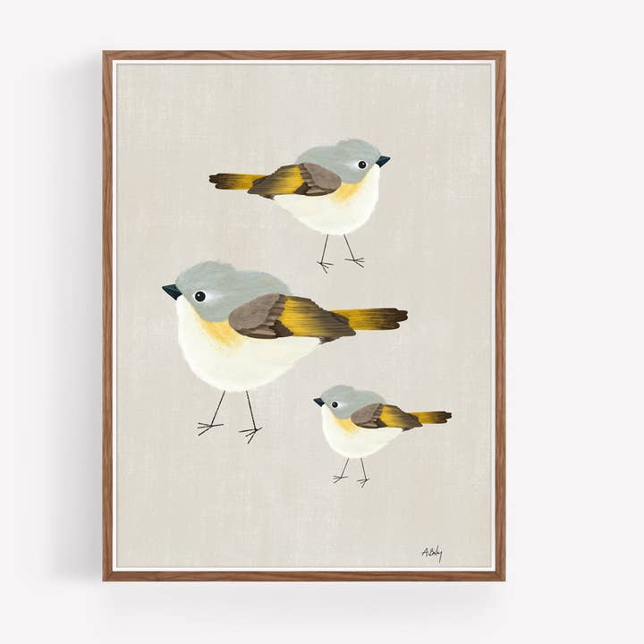 American Redstart Trio - Bird Illustration Print for wholesale by Annie Bailey Art