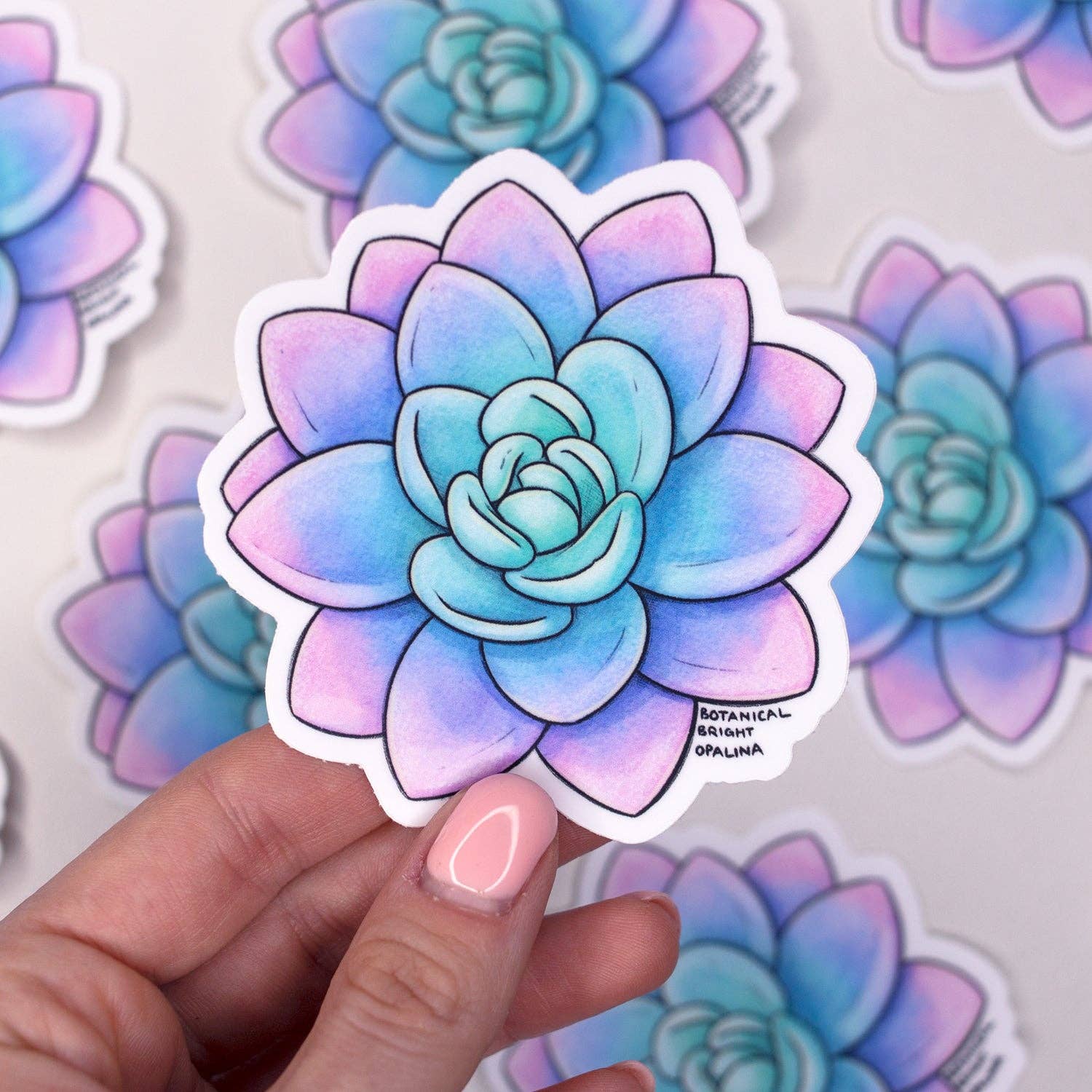 Botanical Bright - Wholesale Sticker - Succulent Graptoveria Opalina Waterproof Vinyl Sticker1