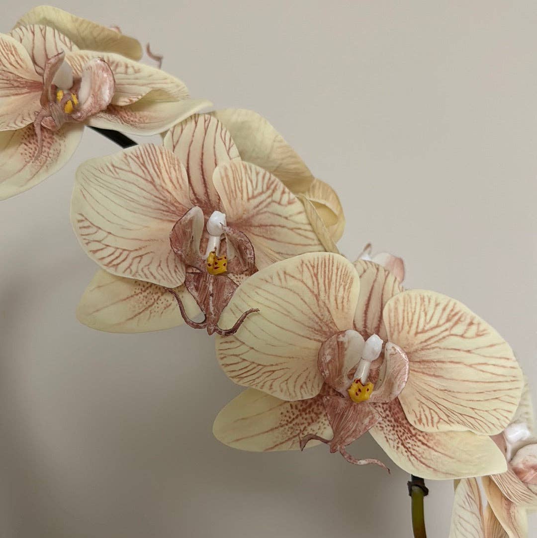 JKF & Co Pty Ltd - Wholesale Artificial Flowers - Real Touch Phalaenopsis Orchid Stem Ivory Mocha1