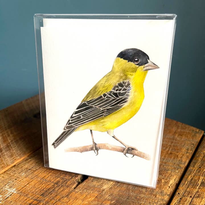 Lesser Goldfinch - Set of 4 Note Cards for wholesale by Amy Shawley Paquette