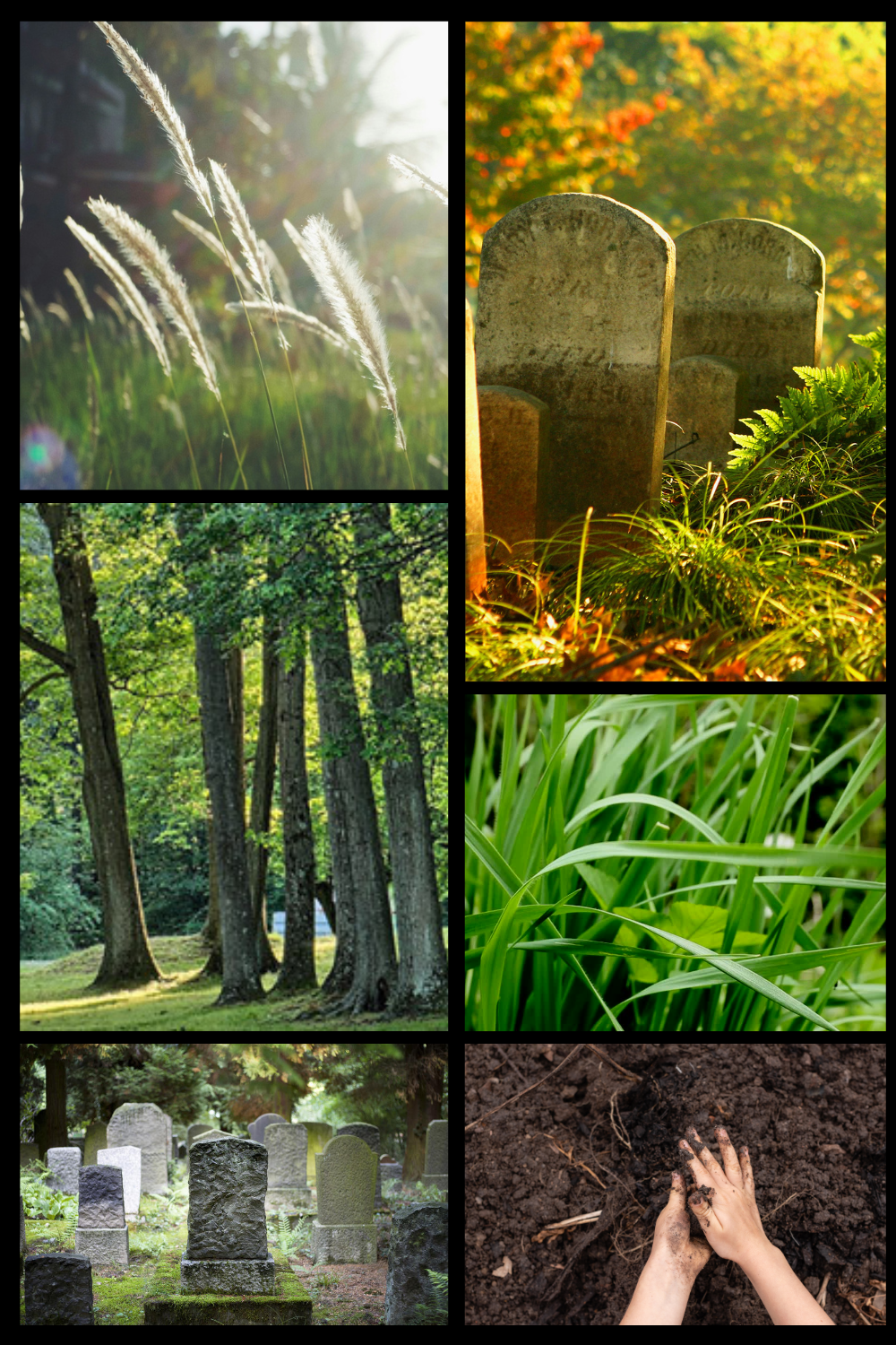 Burke & Hare Co - Wholesale Jar/Filled Candle - Gothic Scented Candle - Cemetery - Dirt & Grass - Halloween1