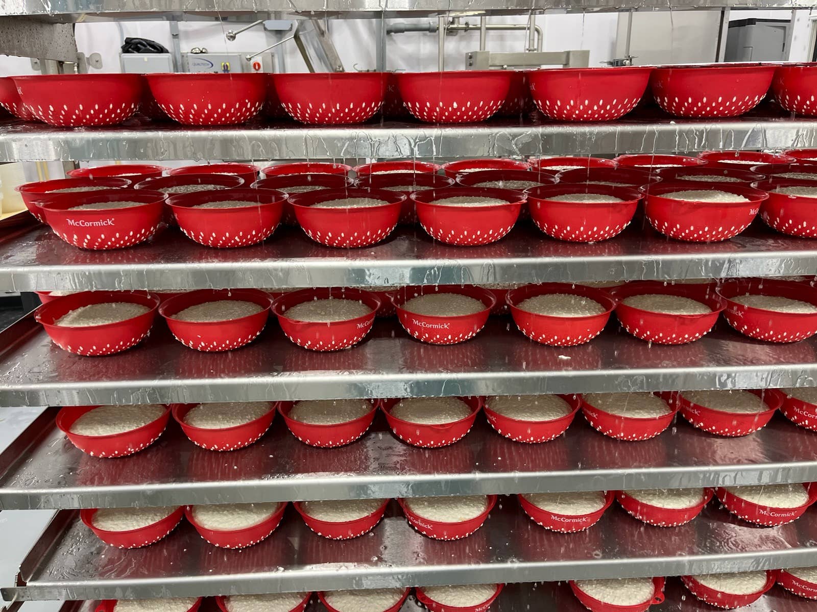 Kasemeister Creamery – wholesale Cheese – Imeruli1