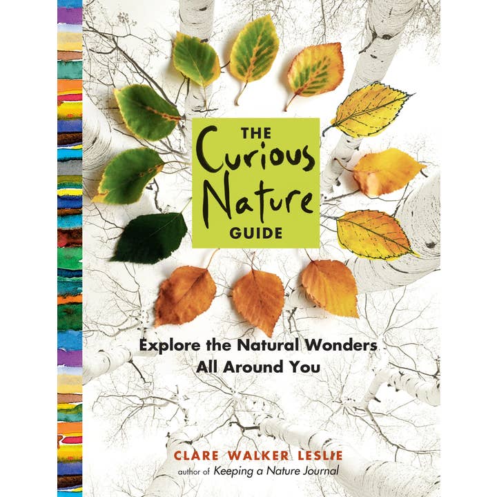 The Curious Nature Guide for wholesale by Hachette Book Group