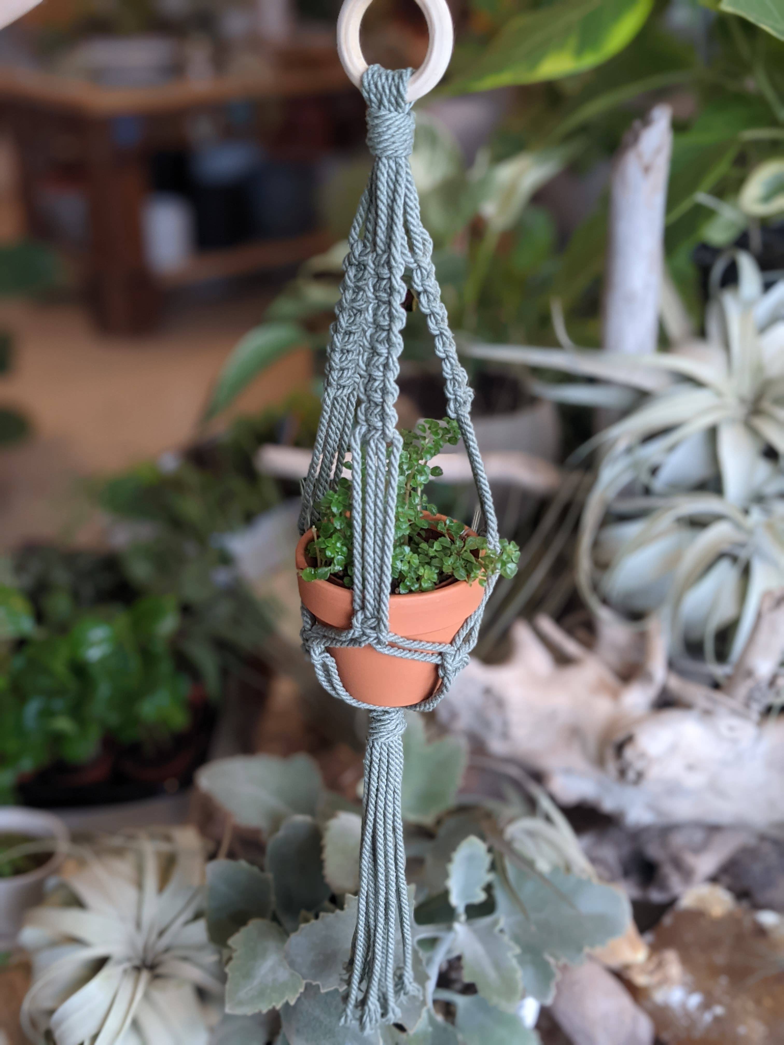 Leaf and Cord - Vente Jardinière suspendue - Cintre pour plantes en macramé - Le Petit1