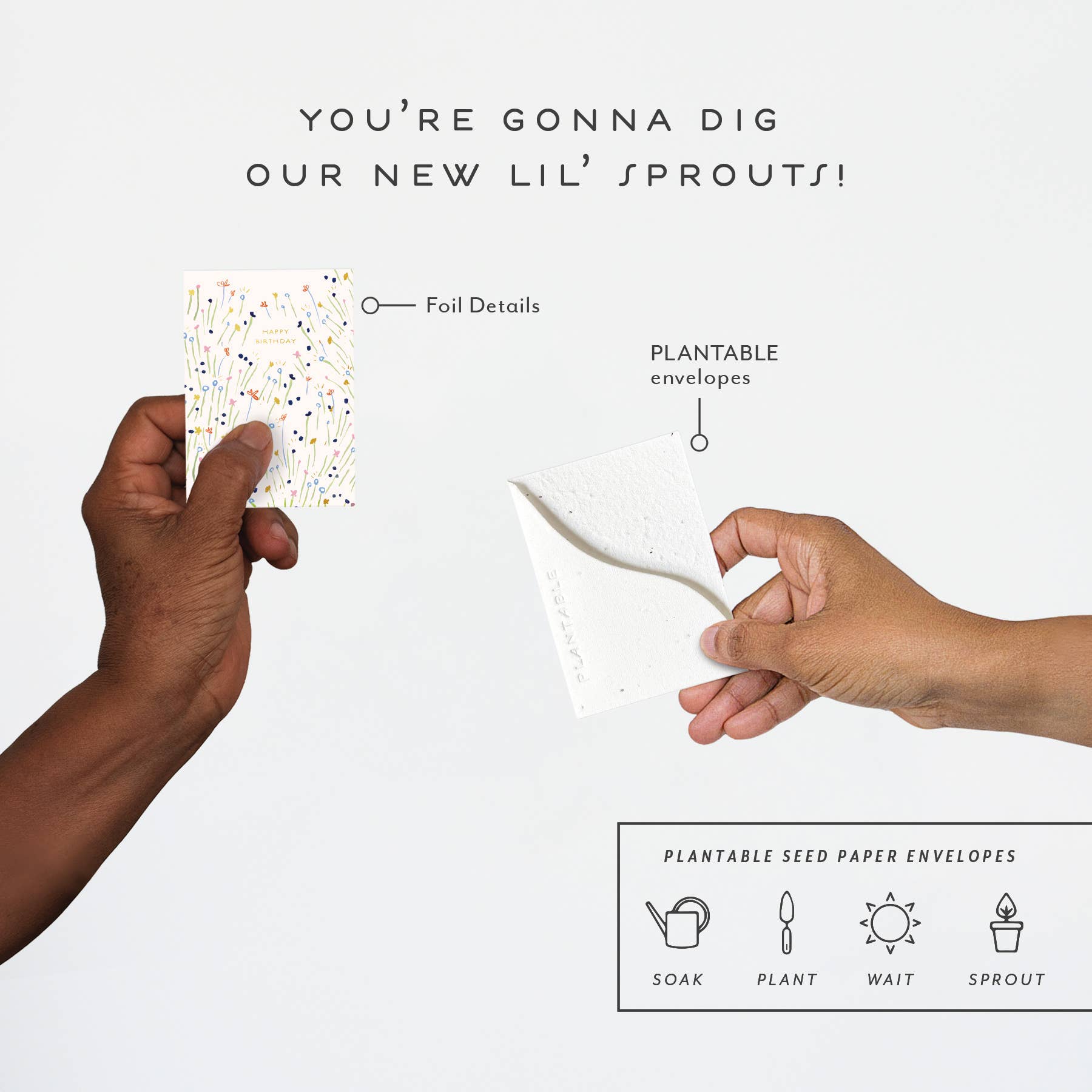 Seedlings – postal de parabéns por atacado – Doces Rebentos - Mini Cartão de Aniversário (6,35 cm x 8,89 cm)3