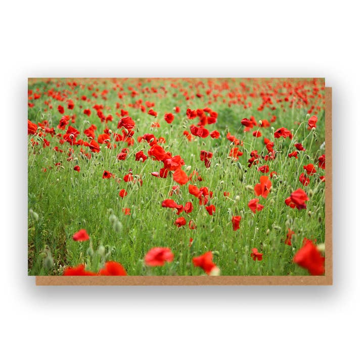 Floral Poppies Greeting Card for wholesale by Marina Walker