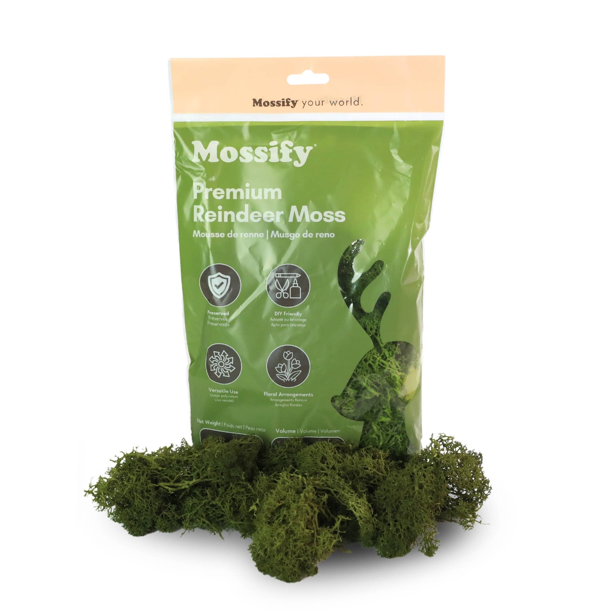 Mossify - Wholesale Planting/Potting Soil - Premium Reindeer Moss (100g & 250g)2