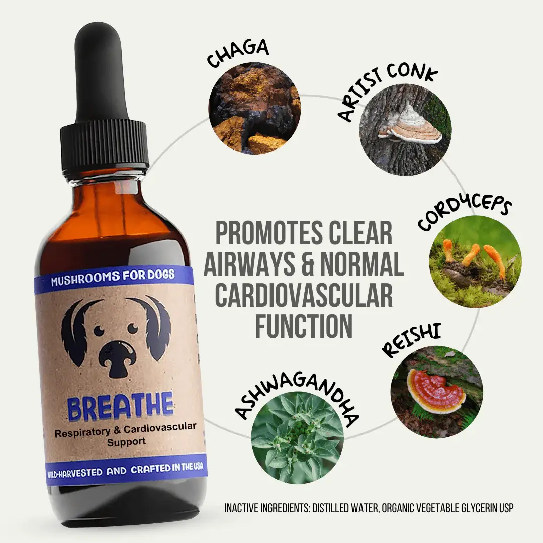MycoDog - Wholesale Pet Supplement - Dog - Breathe – Mushroom Tincture for Dogs | Respiratory Support1