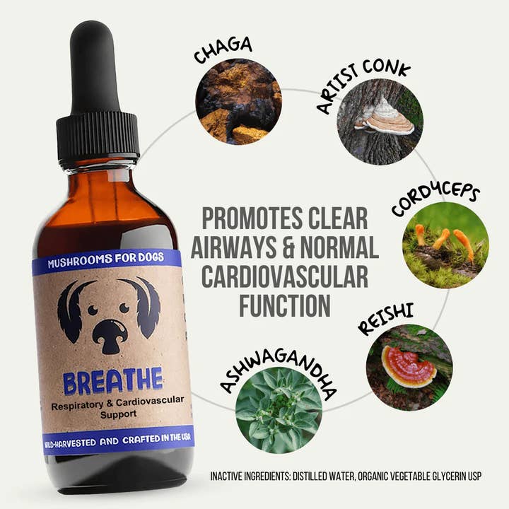 MycoDog - Wholesale Pet Supplement - Dog - Breathe – Mushroom Tincture for Dogs | Respiratory Support1
