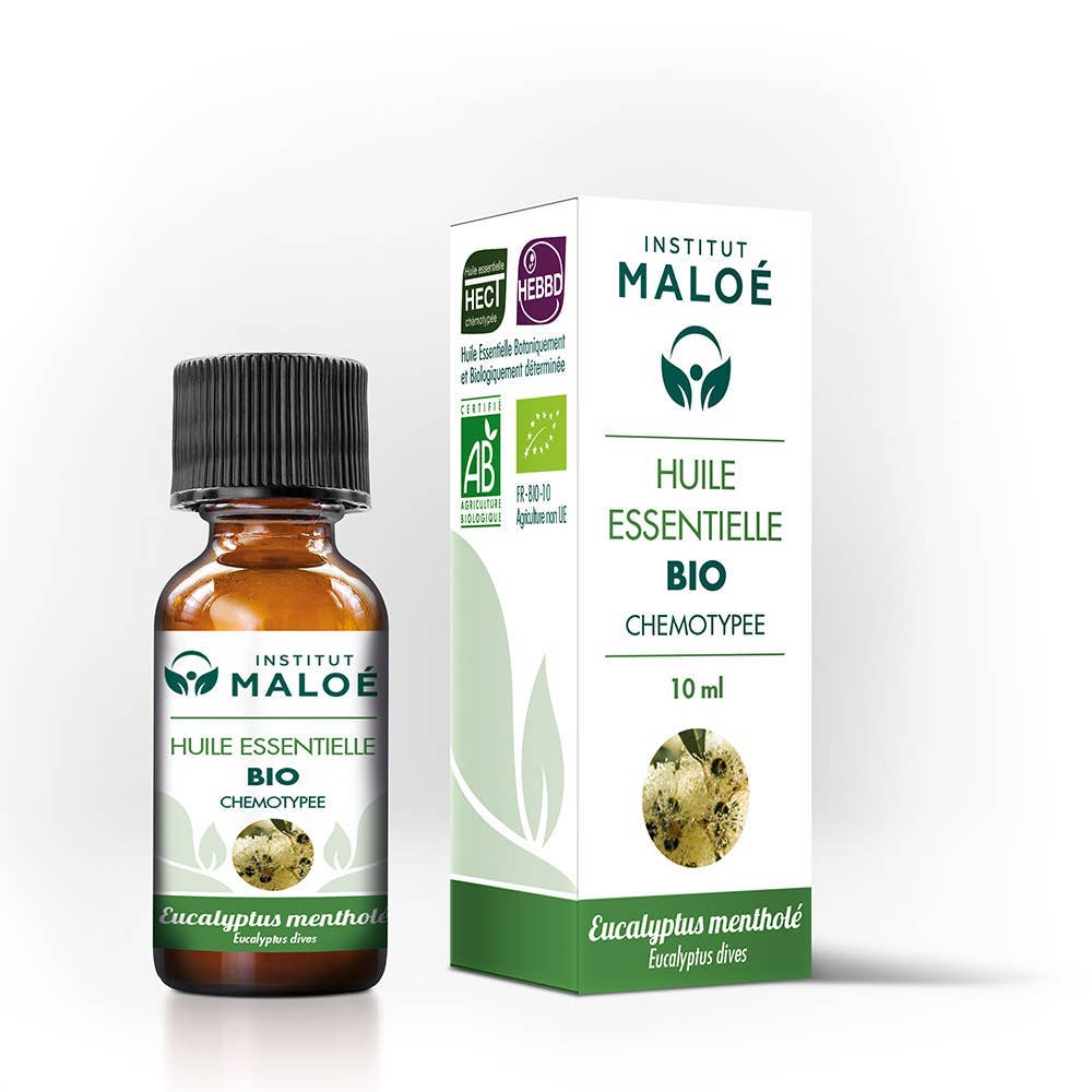 Institut Maloé - Wholesale Essential Oil - Organic Menthol Eucalyptus Essential Oil - 10 mL