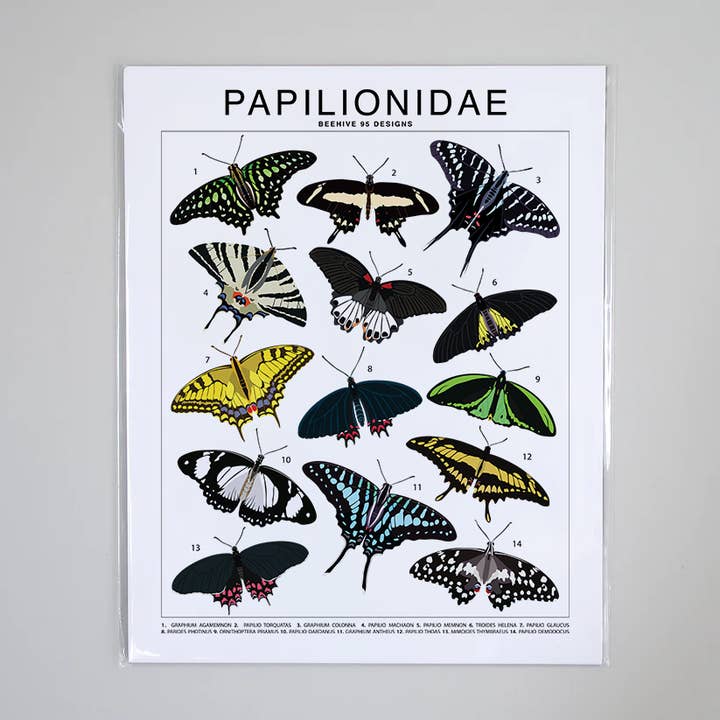 Papilionidae (Butterfly) Species ID Chart Insects Art Print for wholesale by Beehive 95 Designs