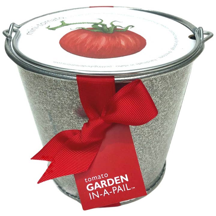 Garden in a Pail | Mini Tomato | Home Cook for wholesale by Potting Shed Creations, Ltd.