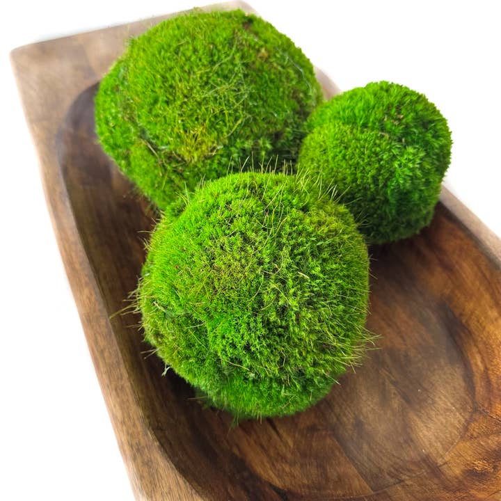 Forever Green Art - Wholesale Decorative Tabletop Object - 5'' Medium  Preserved Moss Ball3
