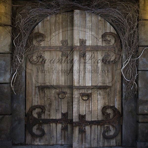 NEW 7ft x 7ft / Vinyl Photography Backdrop / Mid Evil Door for wholesale by Swanky Prints