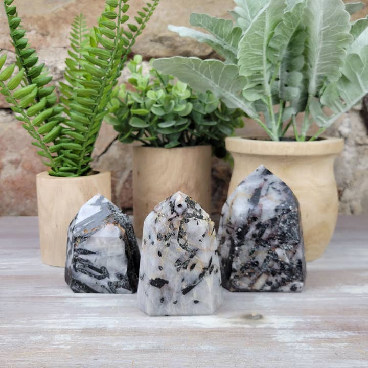 Svart turmalin med kvarts polerade pelare 2 till 5" för wholesale av Crystal Joys Wholesale