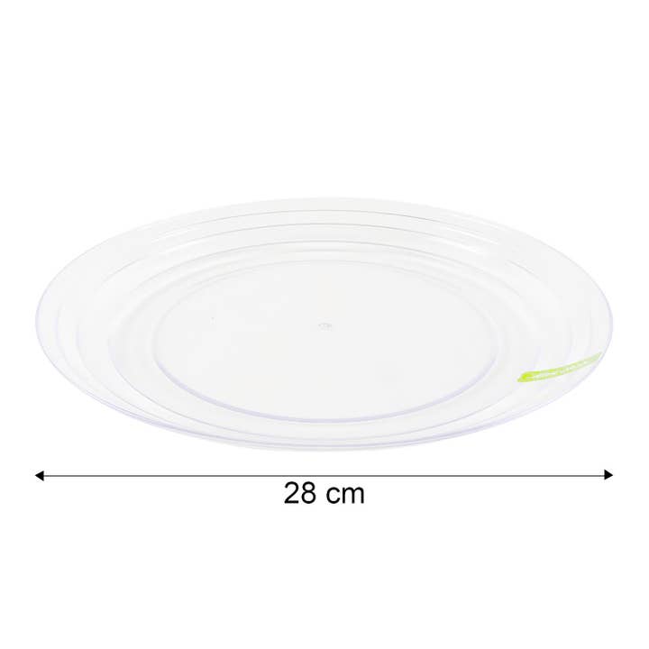 Daniel James - Wholesale Dinner Plate - Pack of 4 Clear Plastic Dinner Plates by Alex Nash3