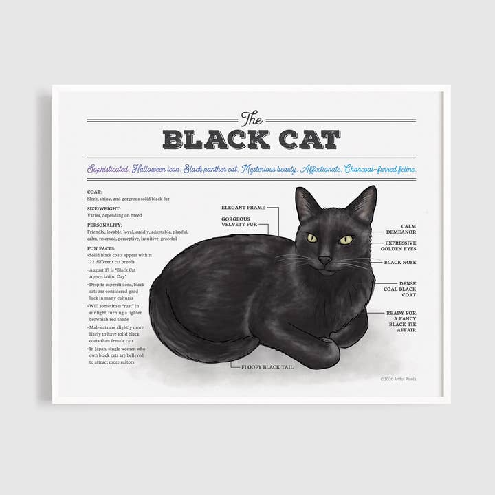 Black Cat Art Print | Cat Diagram Wall Art for wholesale by Artful Pixels