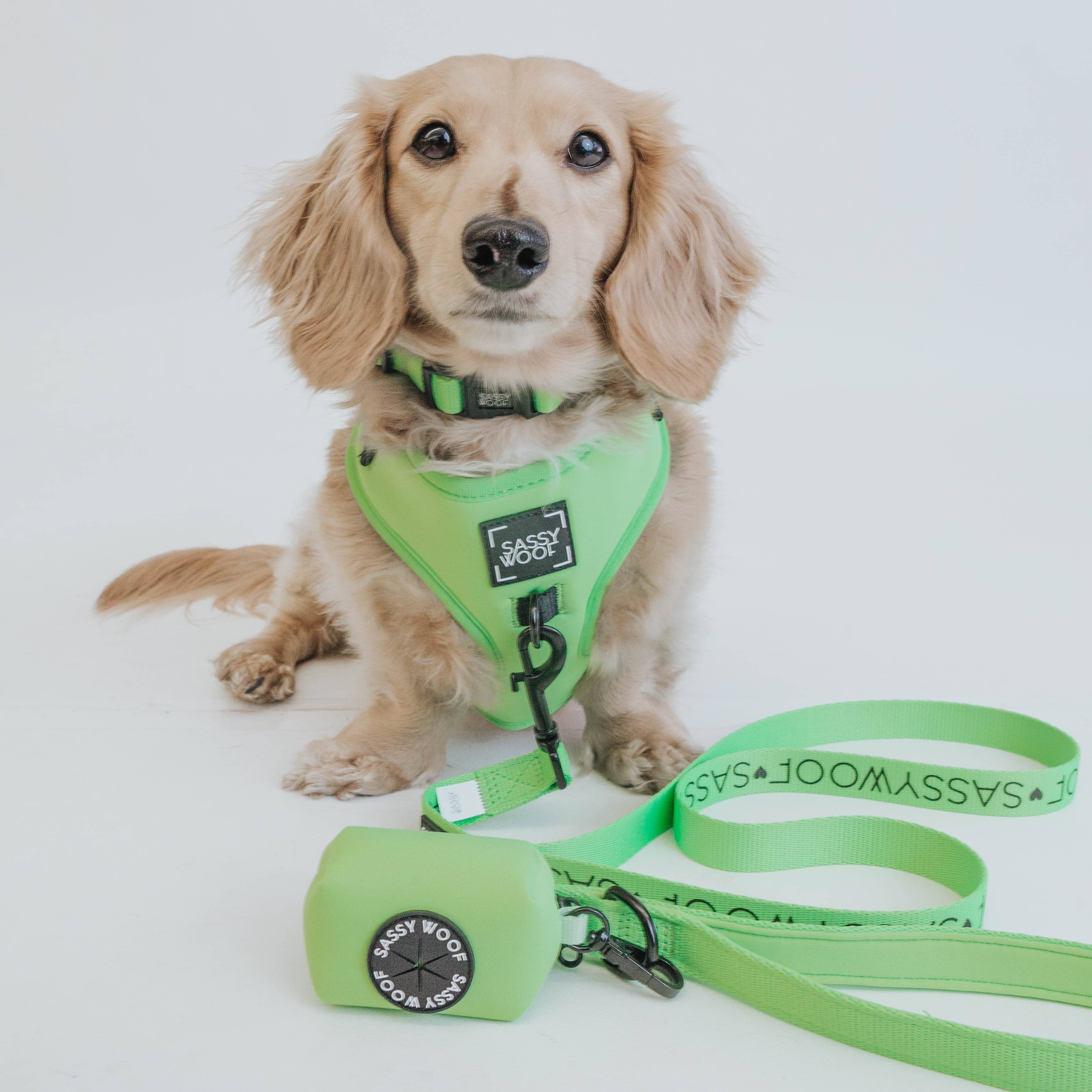 SASSY WOOF - Wholesale Pet Leash - Dog - Dog Leash - Neon Green6