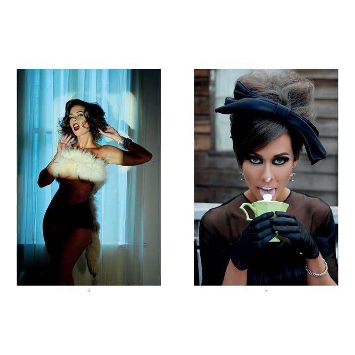 Schiffer Publishing - Wholesale Book - Adult - Chocolate Cheesecake: Celebrating the Modern Black Pin-up