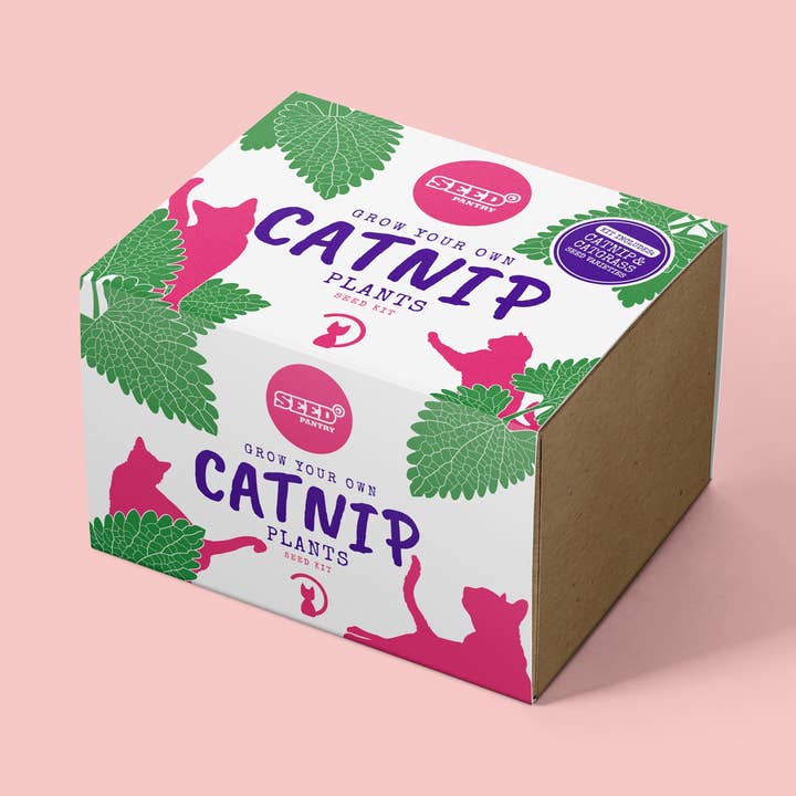 NEW - Catnip Seed Kit for wholesale by Seed Pantry