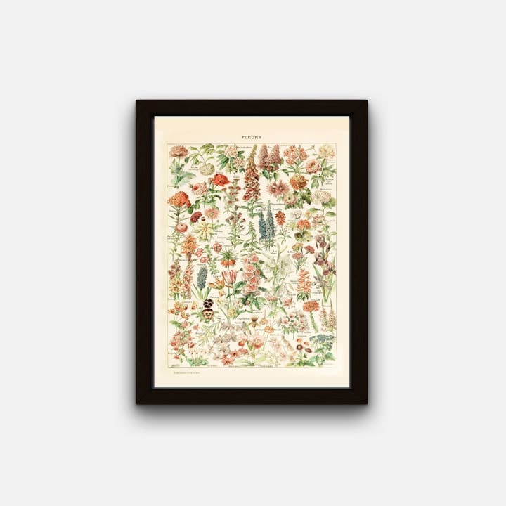 Rock Paper Scissors Wall Art - Wholesale Poster - Fleurs Pours Tous by Adolphe Millot (French Flower Poster I)1
