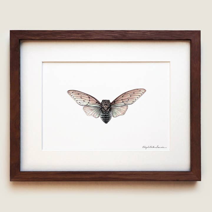 Ghost Cicada | Fine Art Print for wholesale by ElizabethAnnFrancis