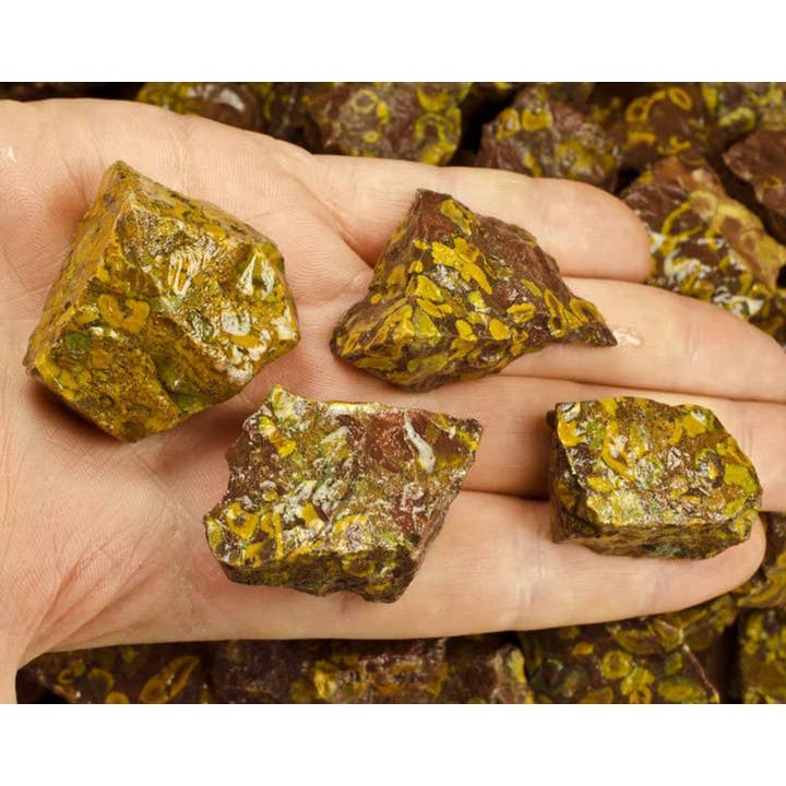 Fantasia Mining - Wholesale Spiritual Stone/Crystal - Rough Leopard Jasper - India - Raw Natural Stones (1 lb)