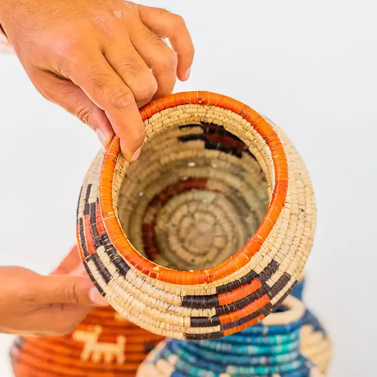 Waasiwolves – Engroshandel Pyntetallerken/skål – Pakke med 6 Olla Kurve2